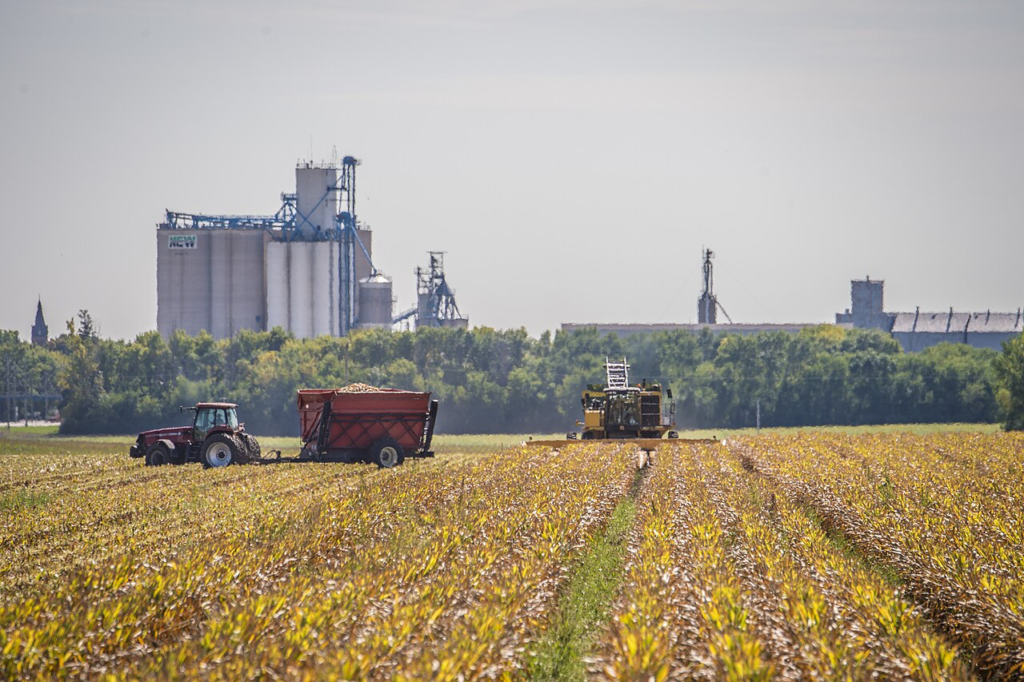 A tractor and harvester work in a golden crop field with grain silos visible in the background.