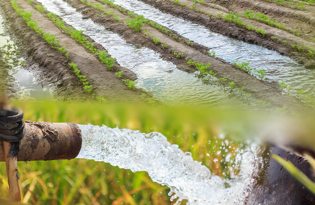 Water flows from a pipe into irrigated crop rows, shown alongside a close-up of a rusty pipe releasing water into a field
